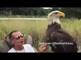 Yirtici Kuslar Kartal Yavrusu Nasil Beslenir 1 Youtube
