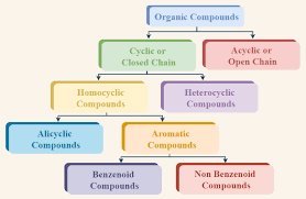 Organic Or Inorganic? | Texas Gateway