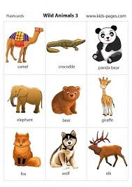 Wild Animals 3 Animales En Ingles Vocabulario En Ingles Ingles Para Preescolar