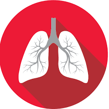 Two locations in commerce and clarkston, serving the oakland county michigan area. Pulmonary Critical Care And Sleep Medicine Associates Home Facebook