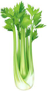 Celery Free Png Clip Art Image Gallery Yopriceville High Quality Free Images And Transparent Png Clipart