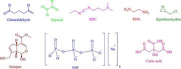 We did not find results for: Different Strategies For The Lipase Immobilization On The Chitosan Based Supports And Their Applications Sciencedirect