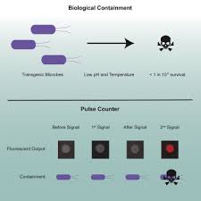 It includes union, intersection, and. Synthetic Cassettes For Ph Mediated Sensing Counting And Containment Sciencedirect