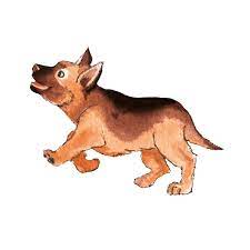 Getting started in dog training. The Complete Puppy Socialisation Checklist Scrumbles
