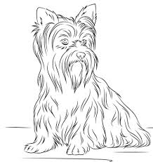Yorkshire Terrier Coloring Page From Dogs Category Select From 23049 Printable Crafts Of Cartoons Dog Coloring Page Puppy Coloring Pages Animal Coloring Pages