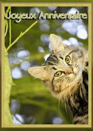 Voir plus d'idées sur le thème beaux chats, chats et chatons, chat. Carte Petit Chat Aux Yeux Verts Envoyer Une Carte Anniversaire Chat Des 0 99 Merci Facteur