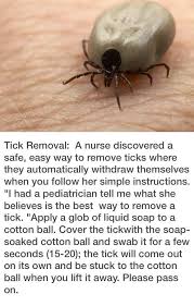 We did not find results for: 65 Best Get Rid Of Ticks Ideas Get Rid Of Ticks Ticks Fleas