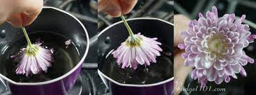 How do you harden a waxed flower? Wax Dipped Flowers How To Preserve A Rose With Wax