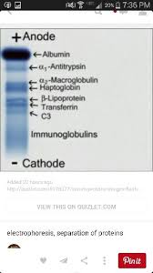 Electrophoresis Medical Technology Labs Lab Humor Medical Technology
