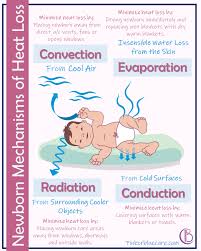 Newborns Can Lose Heat Through Four Mechanisms In 2020 Newborn Nursing Newborn Assessment Nursing Notes