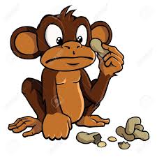 Image result for monkey picture cartoon