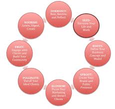 The Natural Business Cycle How To Grow Your Business Organically Starting With A Seed