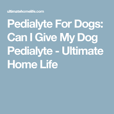 Pedialyte For Dogs Can I Give My Dog Pedialyte Ultimate