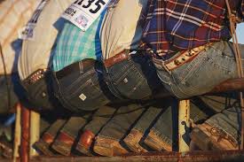 Cowboys On Fence Rodeo Hot Cowboys Cowboys