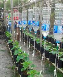 What Is Gravity Irrigation Garden Culture Magazine