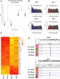 There are case studies showing vitc to have antiviral effects on the pertussis virus (causes whooping cough), the cold virus, the herpes virus, the cytomegalovirus and an influenza type virus. High Dose Ascorbic Acid Synergizes With Anti Pd1 In A Lymphoma Mouse Model Pnas