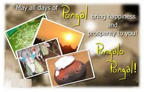 Many tamils and telugus have posted comments under the tweets of chief minister pinarayi vijayan wishing him back. Pongal Sms Messages Wishes Status In Tamil English And Hindi