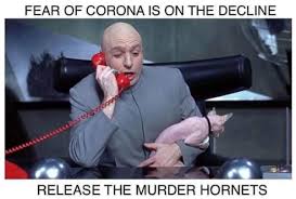 Milwaukee bucks survive in season opener against charlotte hornets and. Fear Of Corona Is On The Decline Release The Murder Hornets Murder Hornet Invasion Know Your Meme