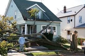 Please ask gabe fletcher to update orion tree service's profile on home8.org regularly. Tree Removal Services Binghamton Deposit Ny Budine Tree Service