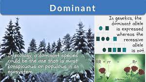 Dominance = the fact or state of being dominant. Dominant Definition And Examples Biology Online Dictionary