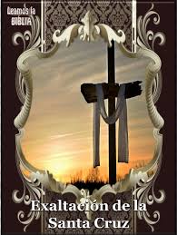 We did not find results for: Leamos La Biblia Exaltacion De La Santa Cruz Nohat Free For Designer