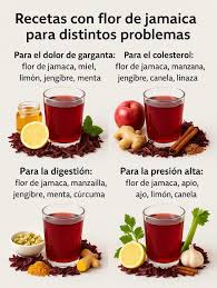 Flor de Jamaica: Baja la presión y limpia tus riñones con estas recetas 🌺  — Si me lees, regálame un hola o gracias” #fblifestyle
