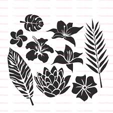 Free Free 274 Tropical Flower Svg Free SVG PNG EPS DXF File