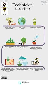 Construire une fiche métier est utile pour :approfondir un projet professionnel, en vous amenant à lister tous les. Infographier Des Metiers En Classe De 5eme Profdocalouest