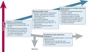 Image result for Vasopressor