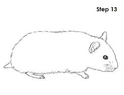 Cute Hamster Drawing At Paintingvalley Com Explore Collection Of Cute Hamster Drawing As usual it isn't finished, but as usual i'm not going to finish it. cute hamster drawing at paintingvalley