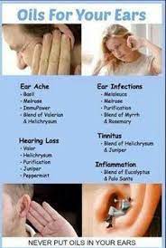 Young Living Essential Oils Cardamom Visit My Website For More Information Or To Order Http Www Ylwebsite Com Paola Cardamom Pinterest Young Living Ol