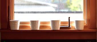 plant  land of laurel