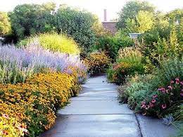 Master Landscape Inc L Manhattan Kansas Landscape Landscape Design Backyard Landscaping Designs Native Garden