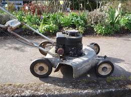 Image result for Pink 1964 Montgomery Ward