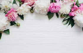 Elevate your style with a realistic floral design complemented in a soft pink and white shade. Wallpaper Flowers Pink White White Buds Wood Pink Flowers Peonies Peonies Images For Desktop Section Cvety Download
