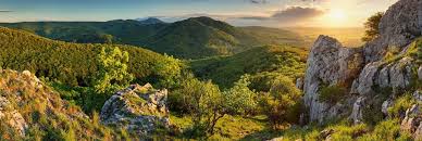 Koronavírus transparency o sulíkových trestných oznámeniach: Slovensko Preferred By Nature Global
