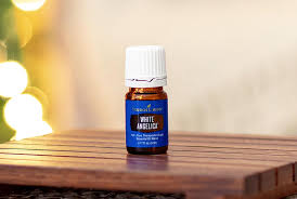 White Angelica: The Happy Day Protocol » Common Scents Mom