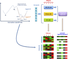 A Pluridimensional View Of Biased Agonism Molecular Pharmacology