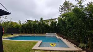 Black 4 5 6 8 tall fence windscreen privacy screen shade cover mesh garden. Bamboo Your Privacy Home Facebook