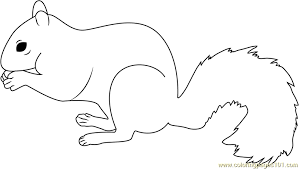 Gray squirrels come in many colors. Grey Squirrel Coloring Page For Kids Free Squirrel Printable Coloring Pages Online For Kids Coloringpages101 Com Coloring Pages For Kids