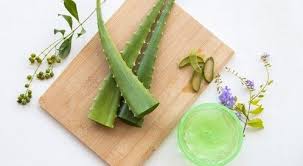 طريقة استخدام الصبار للشعر لجعله ناعم وانسيابي كالحرير Aloe Vera For Face Aloe Vera Gel Overnight Face Mask