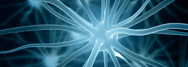The deposits are called 'lewy bodies' after the scientist who first described them, dr. Focus On Lewy Body Dementia Lbd Research National Institute Of Neurological Disorders And Stroke