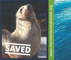 Visit us and take a tour in san francisco's pier 39 and see what is in store for you. Nl Over Seal Analytical Seal Persbericht
