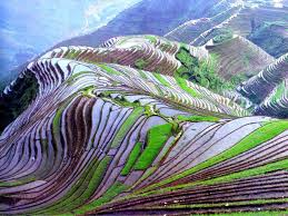 Mysteriou Most Amazing Places On Earth Free Rice Fields Places Around The World Nature C World Most Beautiful Place Beautiful World World S Most Beautiful