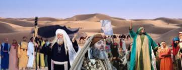 سوق عكاظ هو أهم واقدام اسواق العرب , فهو احد ثلاثة اسواق كانت مقصد العربي في الجاهلية , فكان هناك سوق عكاظ وسوق مجنة وسوق ذي المجاز. Ø³ÙÙ Ø¹ÙØ§Ø¸ Ø§ÙÙÙØ³Ø¨ÙÙ Ø§ÙØ£ÙØ¯Ù ÙÙ ØªØ§Ø±ÙØ® Ø§ÙØ¹Ø±Ø¨ 1 2 Marayana ÙØ±Ø§ÙØ§ÙØ§