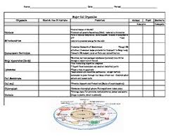 Cell Structure Chart