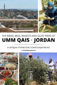 The Birds Bees Baskets And Olive Trees Of Umm Qais Jordan Middle Eastern Travel Travel Experience Jordan Travel