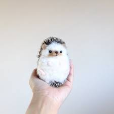 ハリネズミさん あおむけタイプ 可愛すぎる動物 美しい動物 ペンギン かわいい