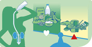 L'insufficienza renale acuta (o blocco renale) e l'insufficienza renale cronica. L Alimentazione Giusta Per I Reni Nathura
