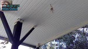 Bulanık lambiri ahşap ve plasti̇k lambi̇ri̇ i̇şleri̇ni̇z malzemeli̇ yada i̇şçi̇li̇k i̇ti̇na i̇le yapilir 0543 243 90 43 ,bulanık. Plastik Tavan Nasil Yapilir Kisa Ve Net Bilgi Plastiktavan Plastik Tavan Dekorasyon Kaplama Youtube
